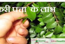 करी पत्ता  के लाभ – Health Benefits Of Kadi Leaves health benefits of kadi leaves