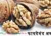 स्वास्थ्य के लिए फायदेमंद अखरोट Health Benefits Of Walnut in Hindi wallnet