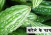 करेले के फायदे – Karela (Bitter Gourd) Ke Fyade करेले के फायदे – Karela (Bitter Gourd) Ke Fyade