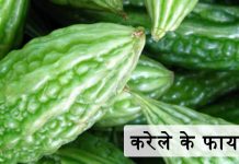 करेले के फायदे – Karela (Bitter Gourd) Ke Fyade करेले के फायदे – Karela (Bitter Gourd) Ke Fyade