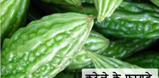 करेले के फायदे – Karela (Bitter Gourd) Ke Fyade