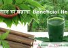 नीम सेहत का खज़ाना  Beneficial Neem neem