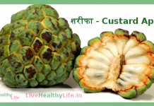 Custard Apple