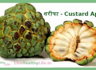Custard Apple