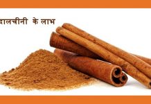 दालचीनी Dalchini Dalchini