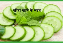 खीरा खाने के लाभ  Cucumber Goodfor Health cucumber