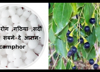 camphor