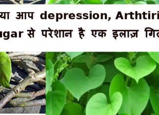 क्या आप depression , Arthtiris , Sugar से परेशान है -एक इलाज़ गिलोय giloy