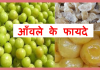 आँवले के फायदे Health Benefits of  Gooseberry(Amla) aanvla