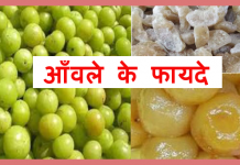 आँवले के फायदे Health Benefits of Gooseberry(Amla) aanvla