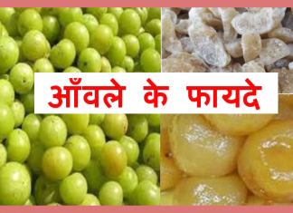 आँवले के फायदे Health Benefits of Gooseberry(Amla) aanvla