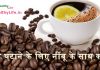 वजन घटाने के लिए नींबू के साथ कॉफी वजन घटाने के लिए नींबू के साथ कॉफी