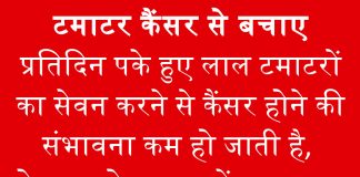 टमाटर खाने से टलता है कैंसर का खतरा