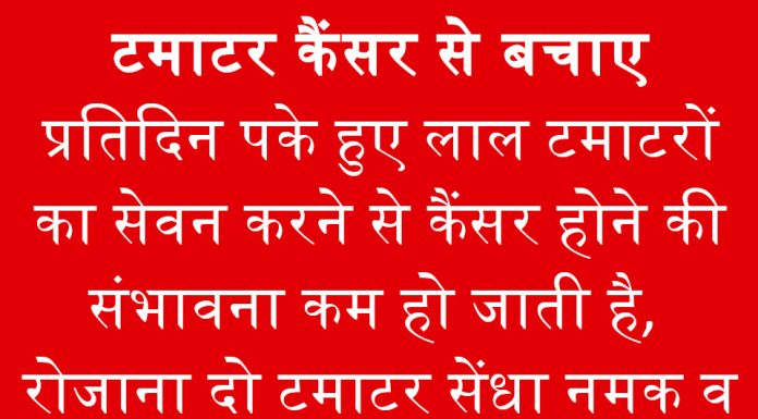 टमाटर खाने से टलता है कैंसर का खतरा टमाटर खाने से टलता है कैंसर का खतरा