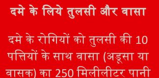 दमे के लिये तुलसी और वासा