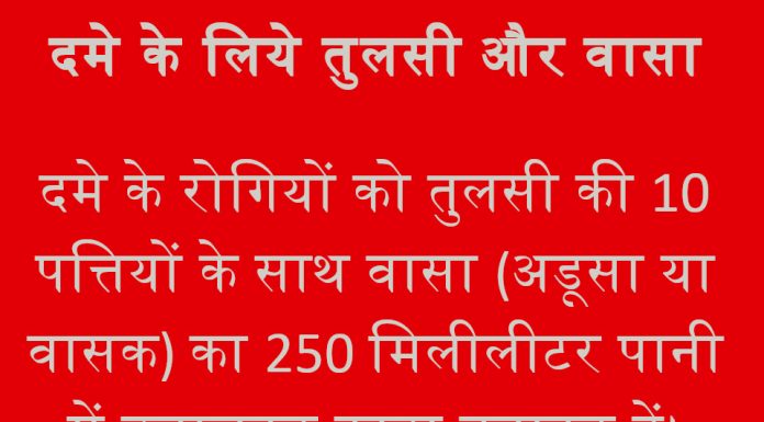 अस्थमा के मरीजों के लिए वरदान है तुलसी और वासा दमे के लिये तुलसी और वासा