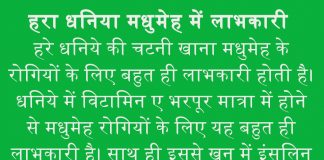 डायबिटीज को कम कर सकता है धनिया, ब्लड शुगर को करता है कंट्रोल डायबिटीज को कम कर सकता है धनिया, ब्लड शुगर को करता है कंट्रोल