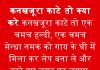 कनखजूरा काटेे तो क्या करे कनखजूरा काटेे तो क्या करे