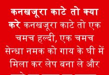कनखजूरा काटेे तो क्या करे कनखजूरा काटेे तो क्या करे