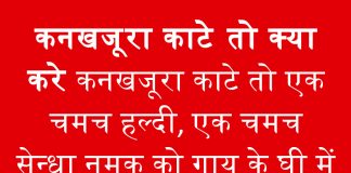 कनखजूरा काटेे तो क्या करे कनखजूरा काटेे तो क्या करे