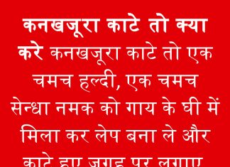 कनखजूरा काटेे तो क्या करे कनखजूरा काटेे तो क्या करे