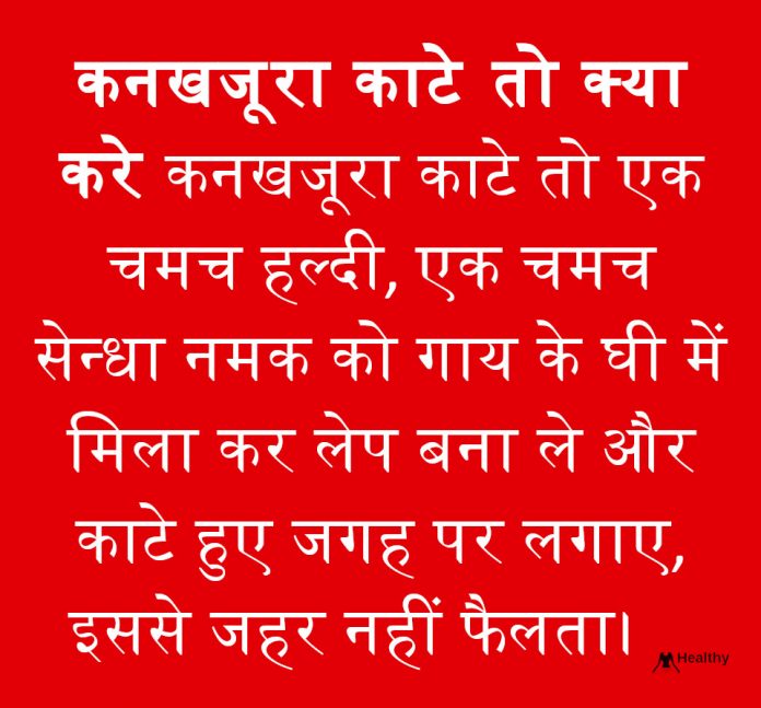 कनखजूरा काटेे तो क्या करे कनखजूरा काटेे तो क्या करे