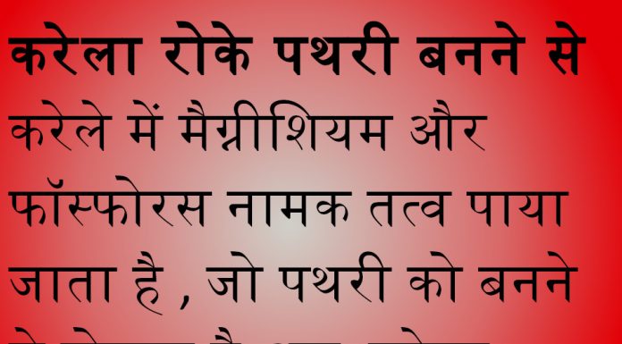 गुर्दे की पथरी का इलाज करें इन घरेलू तरीकों से गुर्दे की पथरी का इलाज करें इन घरेलू तरीकों से