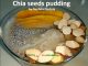 Perfect healthy breakfast – Chia seeds pudding
