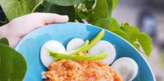 Roasted Brinjals / Eggplant | Authentic Punjabi Baingan ka Bharta