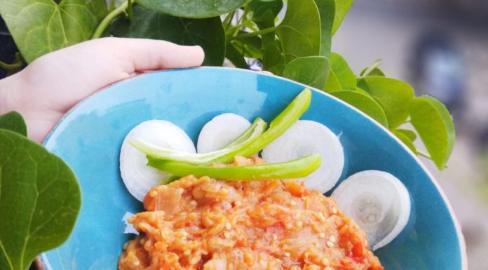 Roasted Brinjals / Eggplant | Authentic Punjabi Baingan ka Bharta