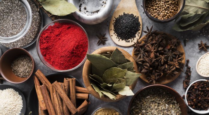 मसाले हमारे जीवन के लिए महत्वपूर्ण क्यों हैं?