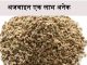 अजवाइन एक लाभ अनेक – health benefits of ajwain health benefits of ajwain