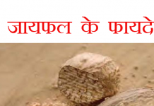 जायफल के फायदे , जो आपने नहीं सुने होंगे, nutmeg benefits in Hindi nutmeg jayphal ,जायफल के फायदे ,health benefits of nutmeg