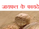 जायफल के फायदे , जो आपने नहीं सुने होंगे, nutmeg benefits in Hindi nutmeg jayphal ,जायफल के फायदे ,health benefits of nutmeg