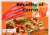 गाजर के लाभ – Benefits of Carrot in hindi