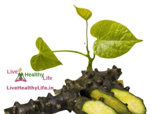 गिलोय के औषधीय गुण, फायदे और नुकसान : Giloy Ayurvedic Uses, Benefits And Side Effects In Hindi
