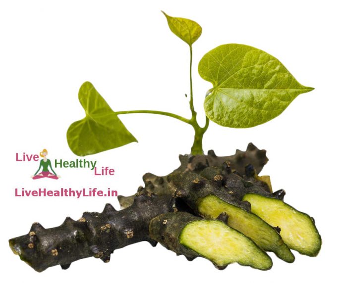 giloy-ayurvedic-uses-benefits-and-side-effects-in-hindi