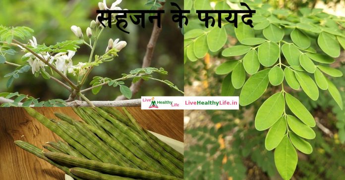 moringa-sahjan-benefits-and-side-effects-in-hindi