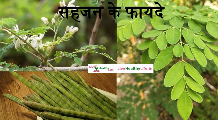 सहजन (मोरिंगा) के फायदे और नुकसान – Sahjan (Moringa) Benefits and Side Effects in Hindi