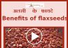 अलसी के फायदे Benefits Of Flax seeds in Hindi