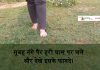 सुबह नंगे पैर हरी घास पर चले और देखे इसके फायदे। …….. walk barefoot on grass and see the result …..