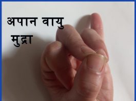 apaan vaayu mudra