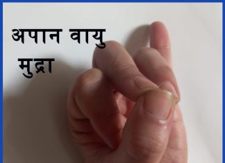 अपान वायु मुद्रा के लाभ Benefits of ApaanVaayu Mudra apaan vaayu mudra