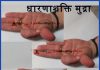 धारणाशक्ति मुद्रा के लाभ Benefits of Dharna Shakti Mudra dharna shakti mudra