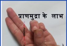 प्राणमुद्रा के  लाभ  Benefits of Praanmudra praan mudra