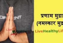 Namaskar mudra yoga | प्रणाम मुद्रा (नमस्कार मुद्रा) के हैरान कर देने वाले लाभ व महत्व नमस्कार मुद्रा लाभ