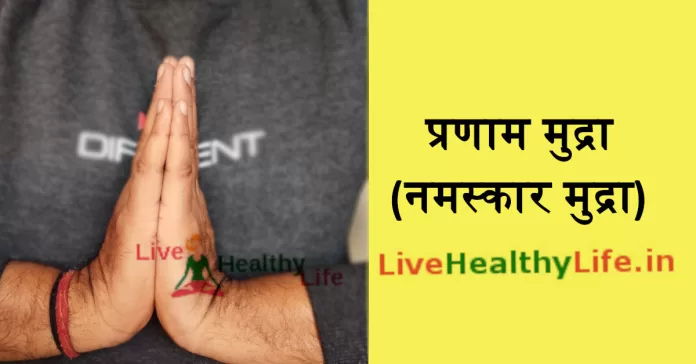 benefits of namaskar mudra नमस्कार मुद्रा लाभ