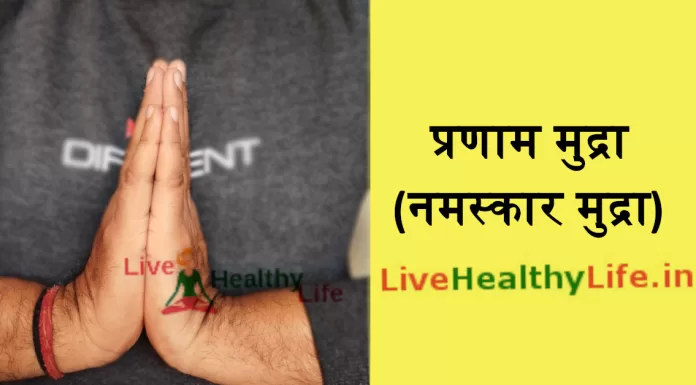 Namaskar mudra yoga | प्रणाम मुद्रा (नमस्कार मुद्रा) के हैरान कर देने वाले लाभ व महत्व नमस्कार मुद्रा लाभ