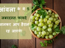 Aamla ke fayde aur Upyog