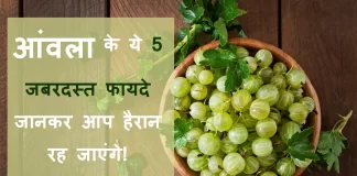 Aamla ke fayde aur Upyog